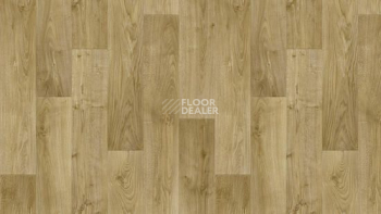 Линолеум Tarkett Discovery RIGARD 2 фото 1 | FLOORDEALER